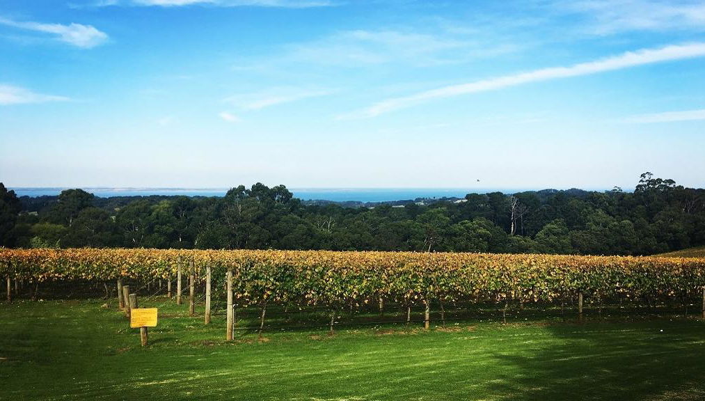 Mornington Peninsula Winery Tour - Photo 1